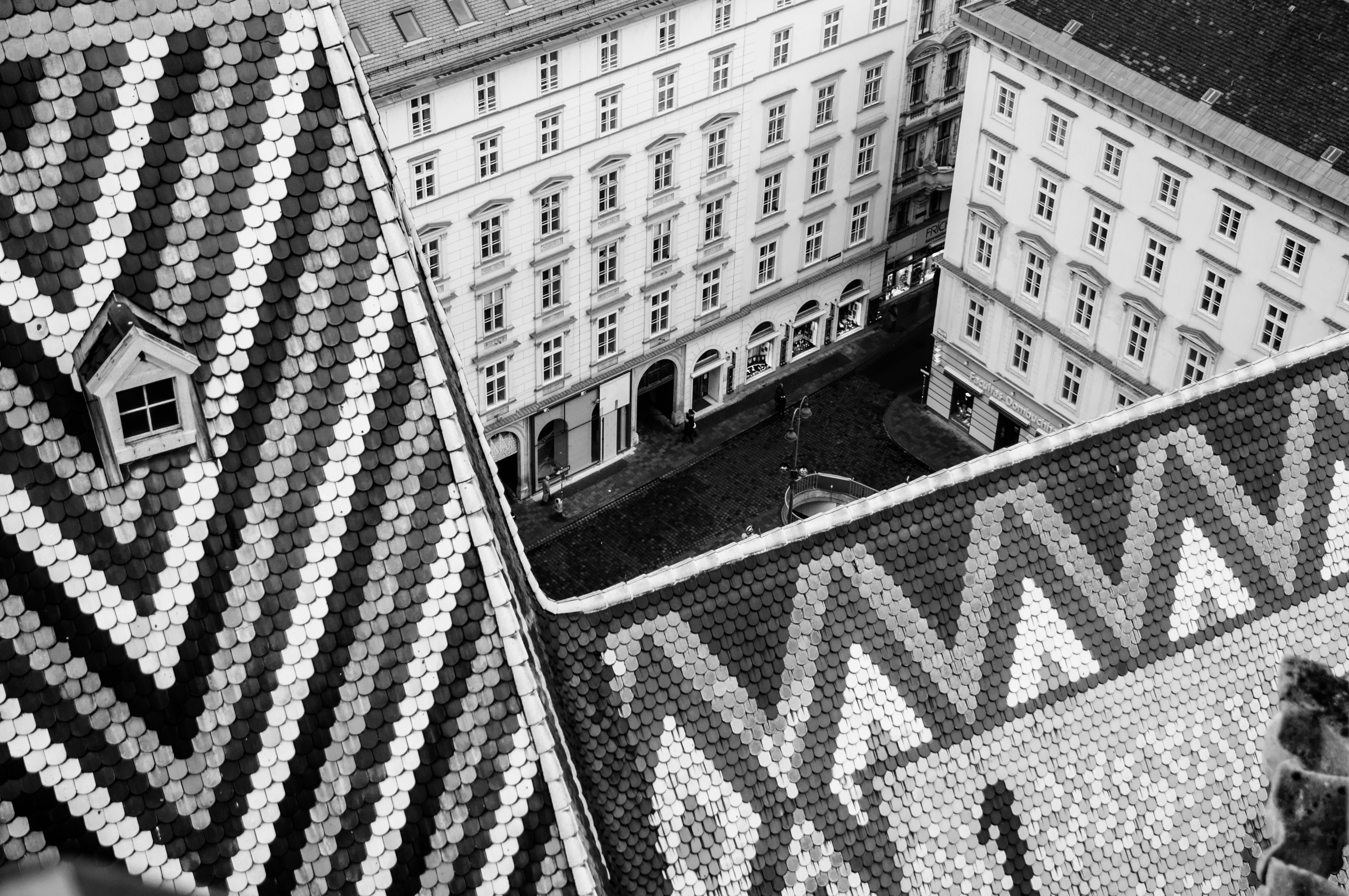 Vienna